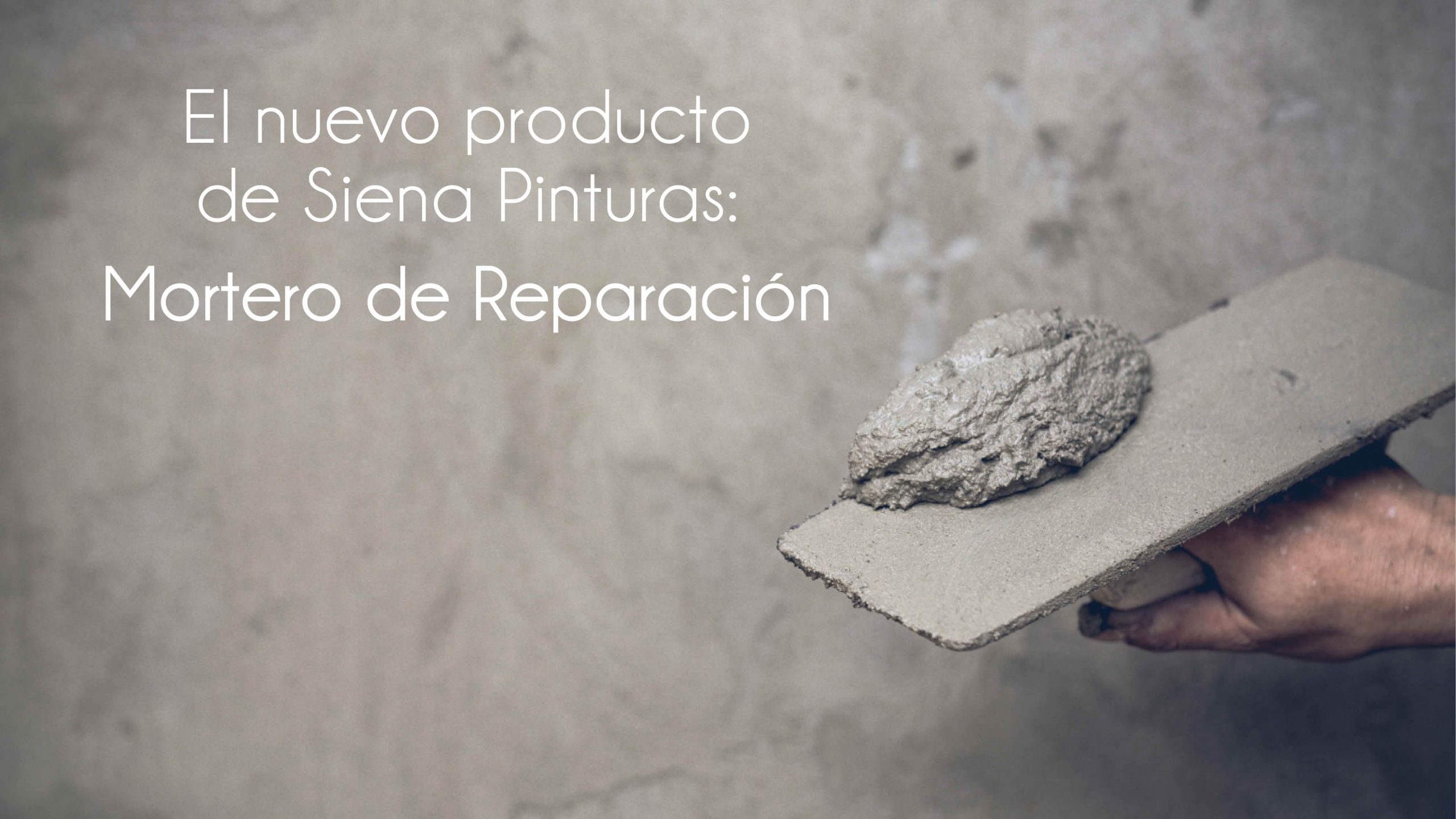 SIENA PINTURAS: Mortero de Reparación